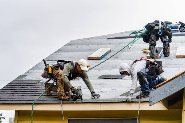 Professional Storm Damage Roof Repair technician working in Fairview, MT